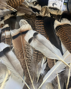 Cookshill Mixed Turkey Nymph Pack