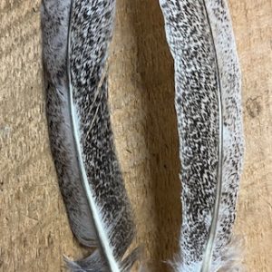 Badger Creek Mottled Oak Turkey Quill ( Small )
