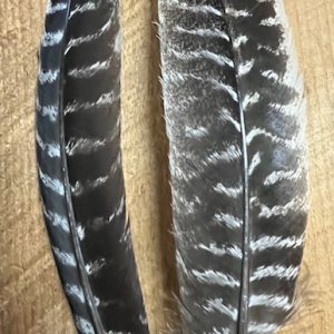 Badger Creek Mottled Ozark Turkey Quill ( Large Size )