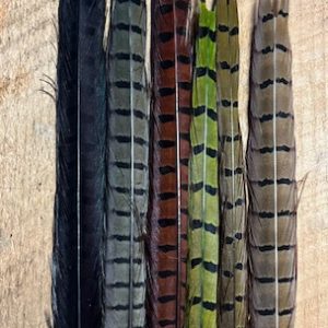 Pheasant Tail Natural and Dyed Assortment