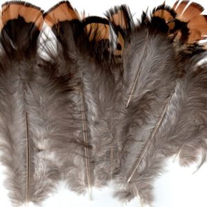 Venery Pheasant Body Plumage ( AKA Reeve’s Pheasant Feathers )
