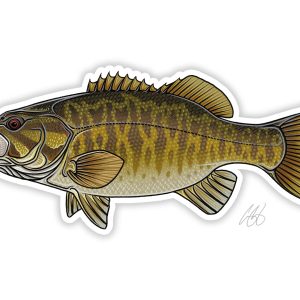 Casey Underwood Casey Underwood Warmwater and Saltwater Fish Stickers: Striper, Smallmouth, Bluegill