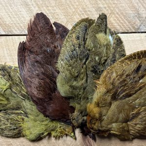 Dyed Hungarian Partridge Pelt: Complete Pelte with Head, Body, Wings, Tail