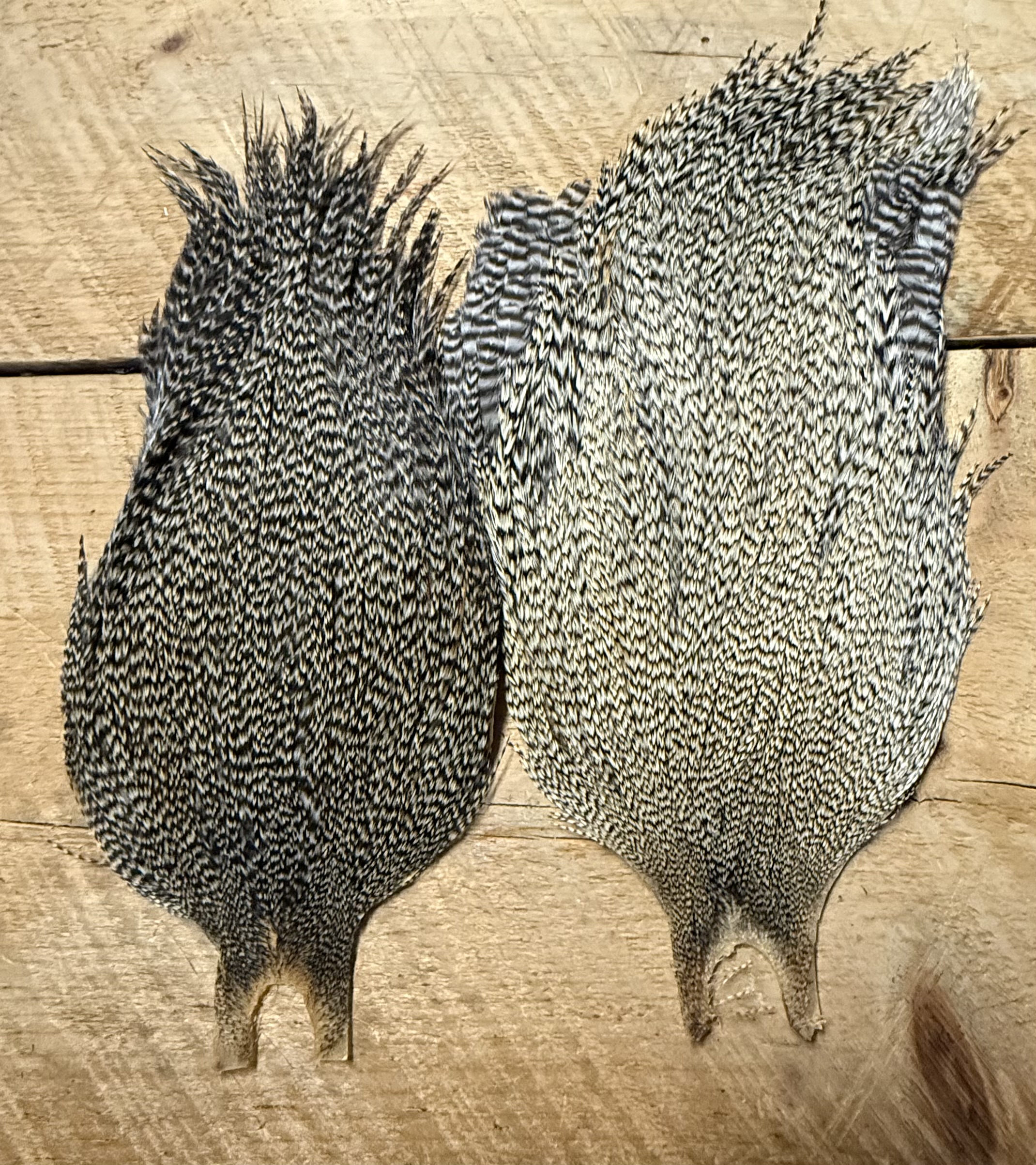 Metz Cree, Grizzly, Barred Ginger Variant Rooster Capes ( Full Cape ) - Image 2