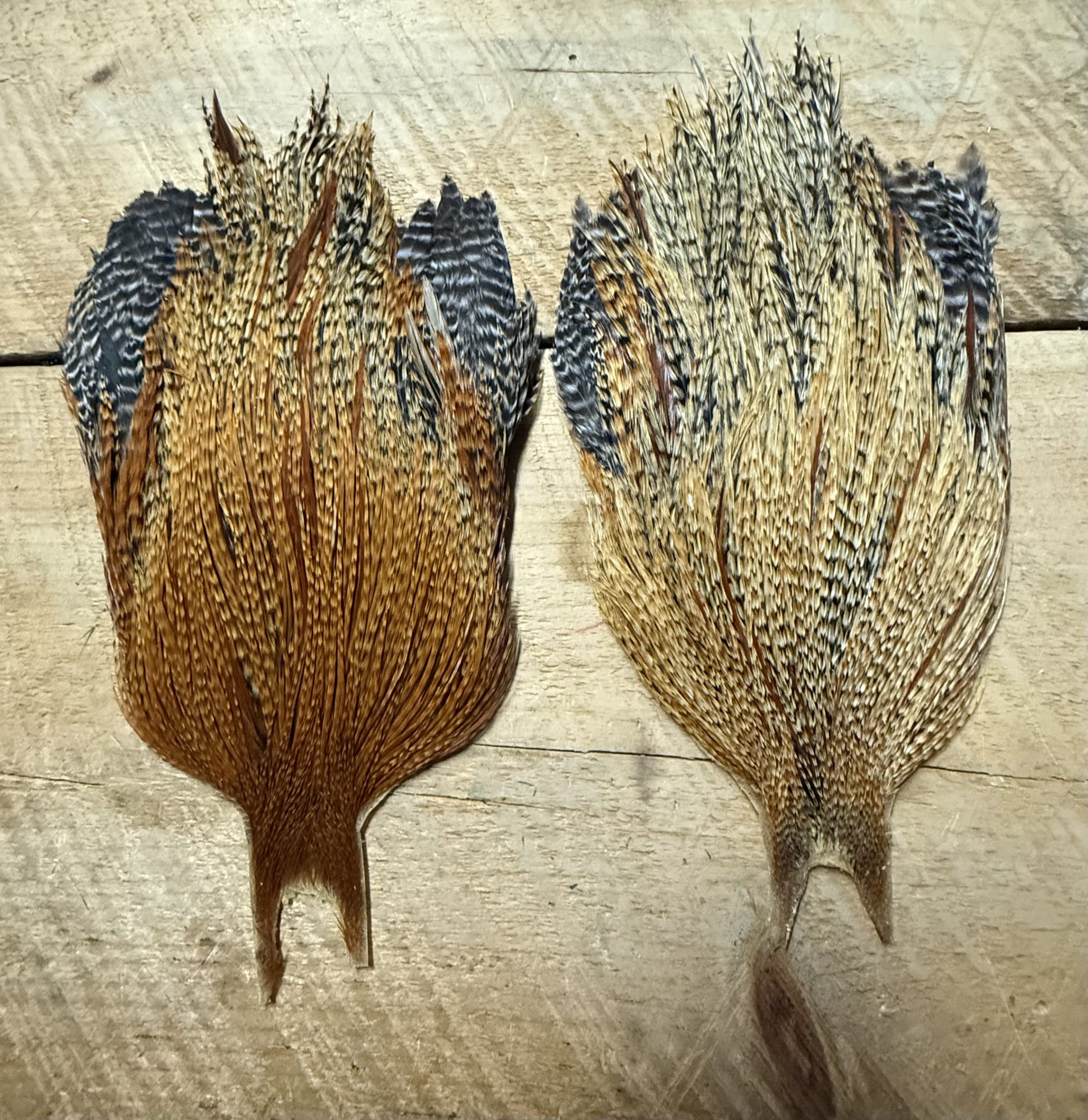 Metz Cree, Grizzly, Barred Ginger Variant Rooster Capes ( Full Cape ) - Image 4