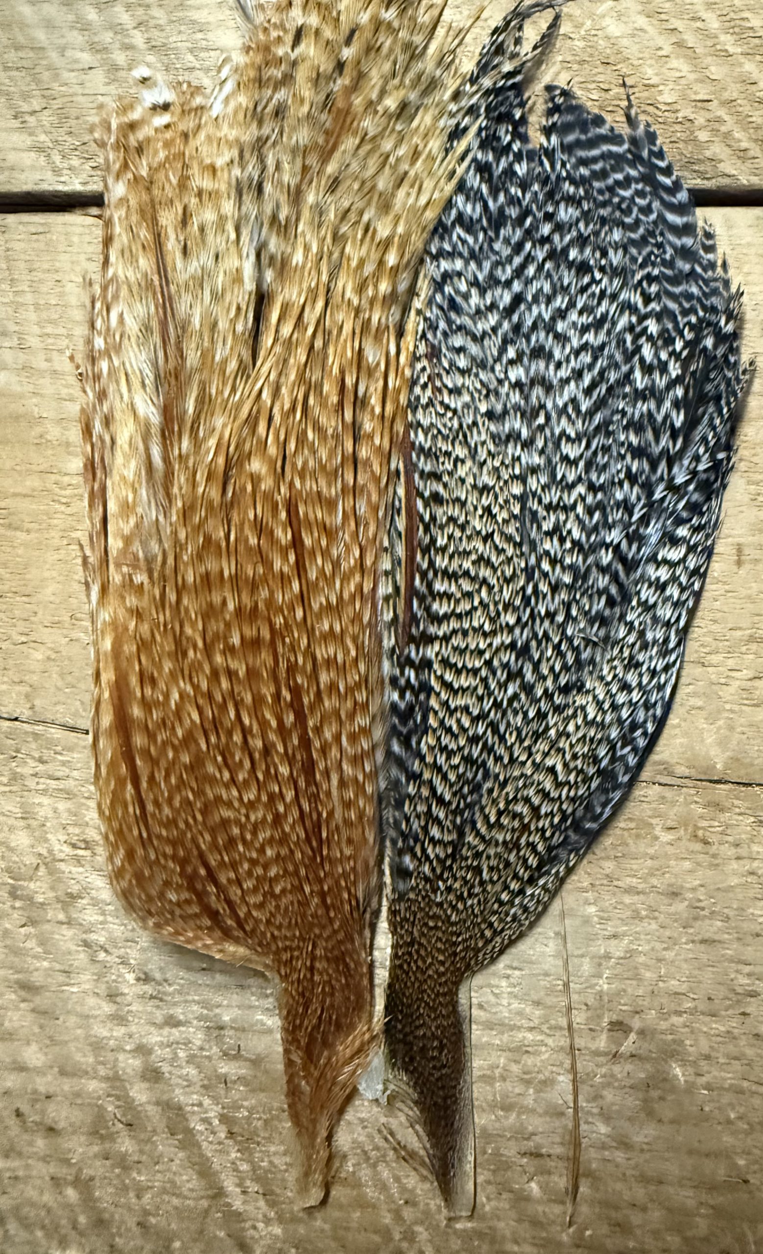 Metz Cree , Grizzly, Barred Ginger Variant Rooster Capes ( Half Cape ) - Image 4