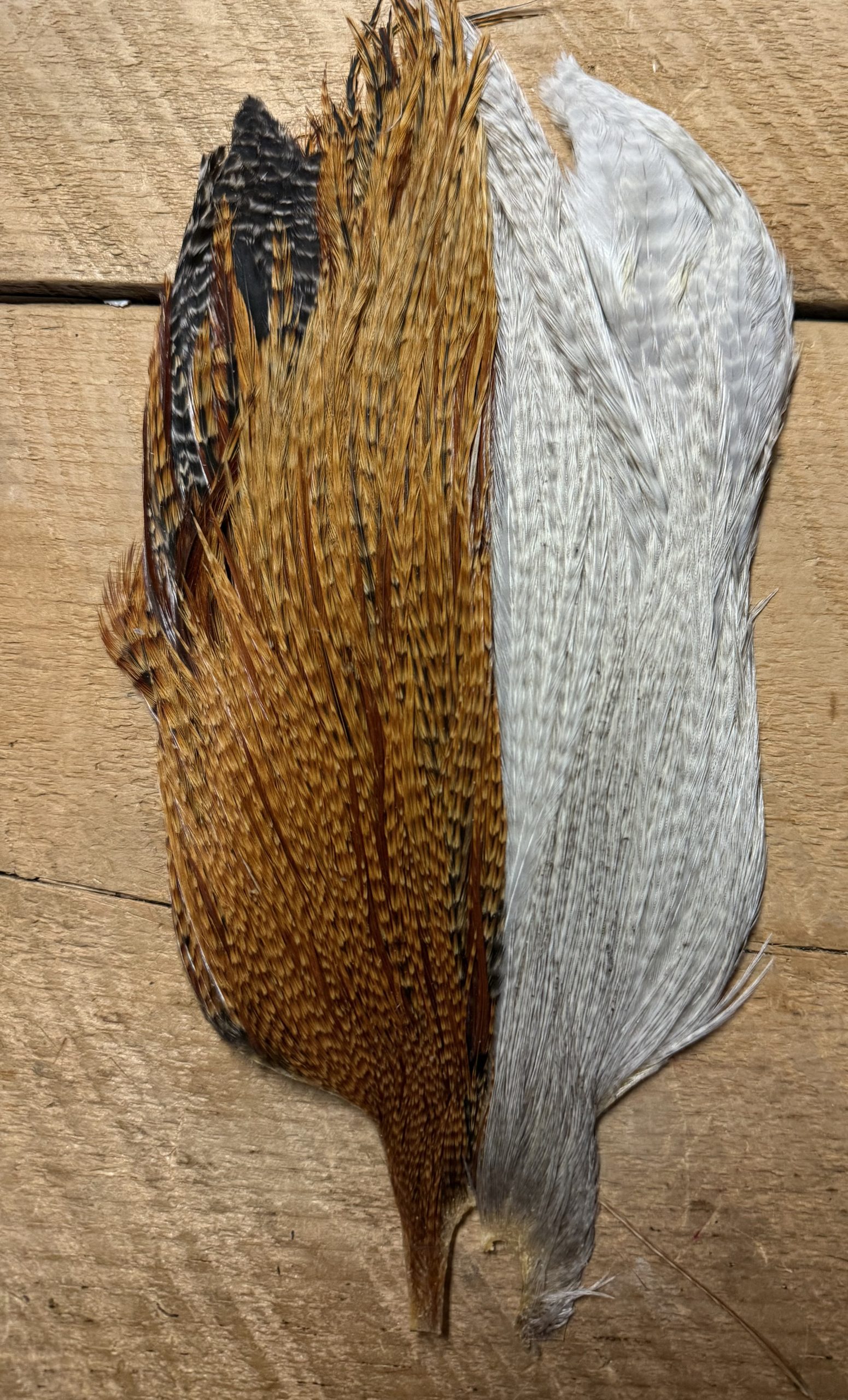 Metz Cree , Grizzly, Barred Ginger Variant Rooster Capes ( Half Cape ) - Image 3